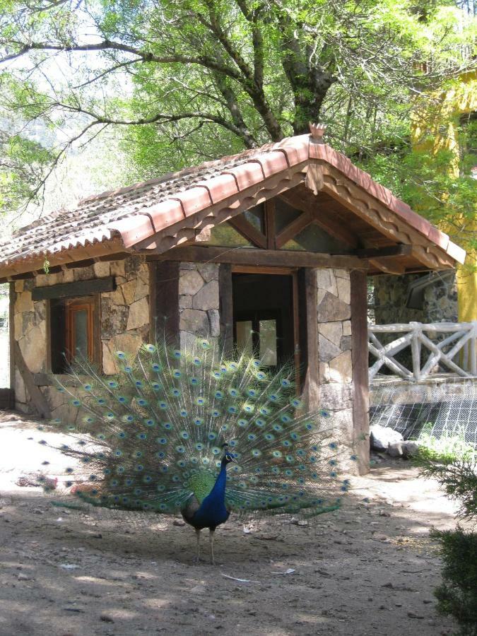 Hotel Rural Los Frutales Cercedilla Exterior foto
